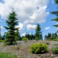 Прогулка по зоопарку :: Veera V Прогулка по зоопарку :: Veera V