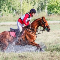 Кросс :: SanSan 