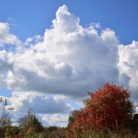 Осенний этюд. :: Владимир Мигонькин Осенний этюд. :: Владимир Мигонькин