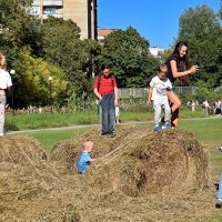 Жаркий день сентября на сеновале. :: Татьяна Помогалова