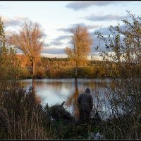 *** :: Aleksandr Gal