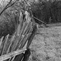 Старый забор :: Владимир Иванович