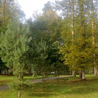 В сентябре в парке ( в начале месяца) :: Елена Семигина