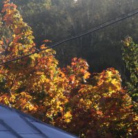 Оформление крыши :: олег свирский 