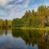 Цвет осени 9 :: Андрей Дворников