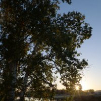 Закат :: Oleg S