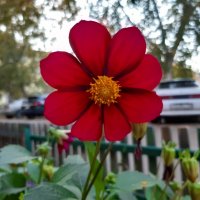 Осень в городе :: Галина Минчук Осень в городе :: Галина Минчук