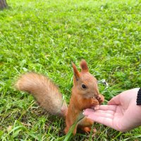 В парке :: Валентина Богатко 