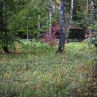 В лесопарке :: Владимир Кроливец В лесопарке :: Владимир Кроливец