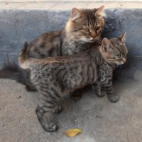 С папой :: Наталья 