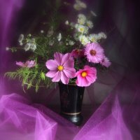 Натюрморт! :: жанна нечаева