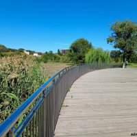 В ростовском экопарке Первая миля :: Нина Бутко