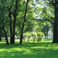 Сад в Адмиралтейском районе Санкт-Петербурга. :: Любовь ***
