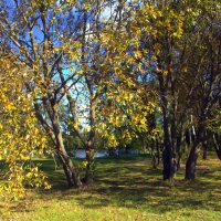 ... :: Вячеслав Минаев