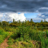 Осенняя пора на Смоленщине. :: Милешкин Владимир Алексеевич 