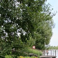 отдых у воды :: Галина R...