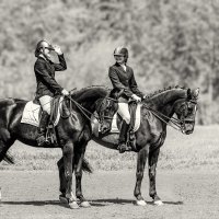 Выездка :: SanSan 