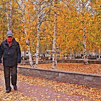 Осень...Пора листопада! :: Владимир 