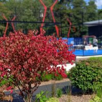 Екатеринбург :: Елена Шаламова