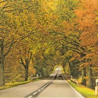 По дорогам осени :: Галина Шеина-Мюльдорфер