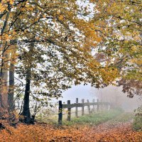 Осенний ноктюрн :: Галина Шеина-Мюльдорфер