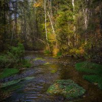 **** :: Елизавета .