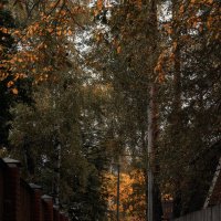 переулочки :: Michel 