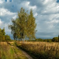 Бабье лето 2 :: Андрей Дворников