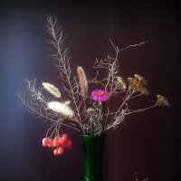 Смятение чувств при переходе в осень... пора привыкнуть :: TAMARA КАДАНОВА