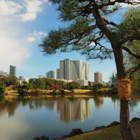 Прогулки по Токио :: Civetta ***