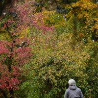 Женщина с собачкой :: Мария Яковлева