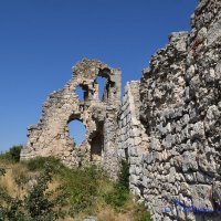 Природа Крыма :: Amazing Cosmea