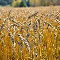 - :: Владимир Мигонькин