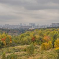 Московская осень... :: Владимир Жданов
