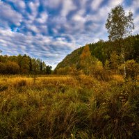 Тихое утро сентября 2. :: Юрий кот