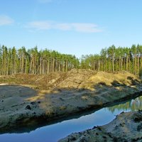 Добыча песка. Законная ли?... :: VasiLina *