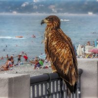 Людишки. Всё чего-то суетятся.. :: AZ east3