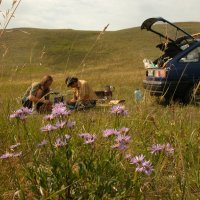 Будни экспедиции :: Наталья Лунева 