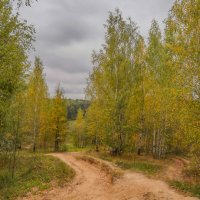 Палитра сентября... :: Владимир Жданов Палитра сентября... :: Владимир Жданов