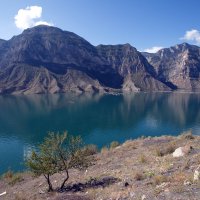 О дереве на берегу :: M Marikfoto