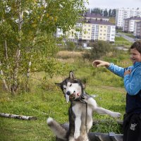 Ярик. :: leff Postnov Ярик. :: leff Postnov