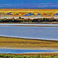 Сентябрь...Графика осени! :: Владимир 