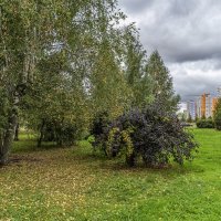 В сквере :: Валерий Иванович