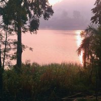 Уганда. Рассвет на Буньони. :: Игорь Матвеев 