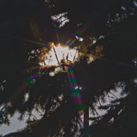 Фонарь :: Giant Tao / Фонарь :: Giant Tao /