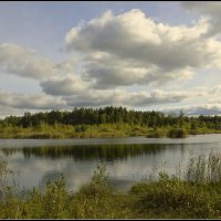 *** :: Aleksandr Gal