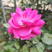 ,,, :: Сергей Тимоновский