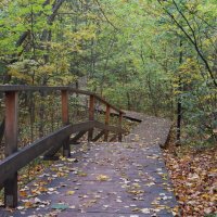 Осенняя дорога :: Дмитрий И_