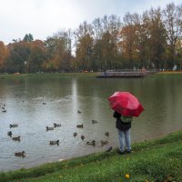 Люди и Птицы :: юрий поляков