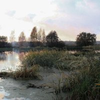 в тихом омуте ... :: Владимир Зеленцов в тихом омуте ... :: Владимир Зеленцов